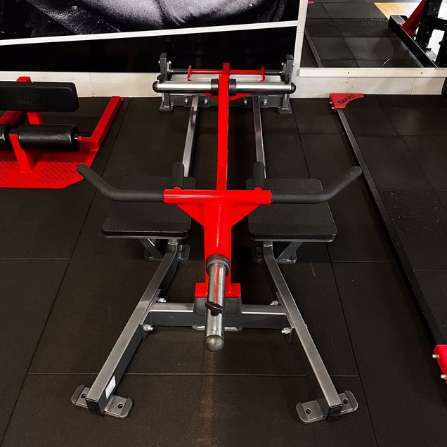 Plate-Loaded Prone Row - targets Back