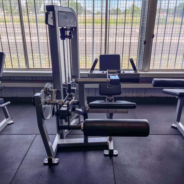 Seated Leg Curl - targets Legs